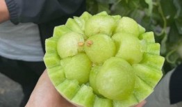 玉瓜晒干怎么吃,传统食材的创意烹饪之旅