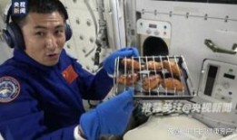 吃瓜航天员,揭秘太空生活里的休闲时光