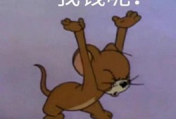 汤姆吃瓜表情,揭秘网络红人的魅力瞬间