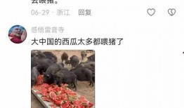 国外评论中国吃瓜,娱乐与文化的碰撞
