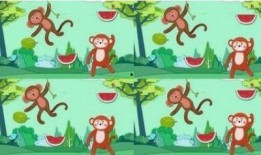 猴子吃瓜故事封面图片