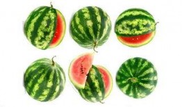 贝特瑞吃瓜,揭秘娱乐圈幕后真相