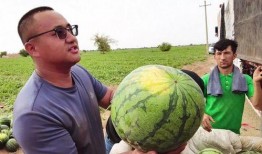 拐卖吃瓜,吃瓜群众背后的惊悚真相