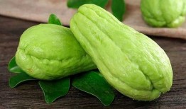 吃瓜精,网络时代的围观文化解析