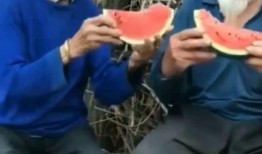 老奶奶吃瓜图,老奶奶的悠闲夏日时光