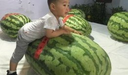 章丘吃瓜群众事件