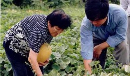 唐工院吃瓜,揭秘校园热点背后的真相