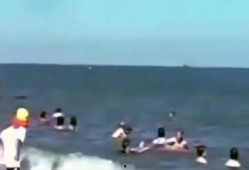 飞机坠落吃瓜,揭秘飞机坠落背后的真相与反思