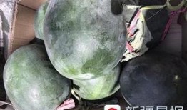 吐鲁番晚上吃瓜,瓜果飘香美食之旅