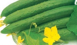 发烧吃瓜,揭秘网络热点的背后真相