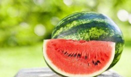 夏天需吃瓜,缤纷瓜果盛宴