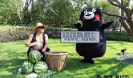 安徽平湖吃瓜事件视频,一场引发热议的街头冲突