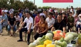 曲靖麒麟事件吃瓜群众,吃瓜群众视角下的真相揭秘