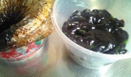 吃乳瓜的酱,探寻传统美食的秘密