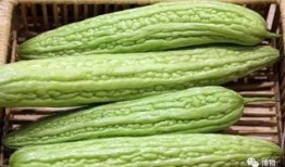 主流吃瓜,主流吃瓜群众热议最新热点事件