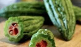 巨人吃谷群瓜,探寻神秘巨人的奇幻食旅