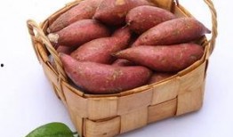 土瓜种子怎么吃,土瓜种子美味食用的秘籍解析