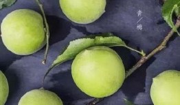 吃瓜人诱青梅,吃瓜人揭秘青梅的魅力