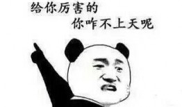 体育课吃瓜,一场别开生面的运动与美食盛宴