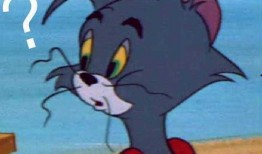 汤姆吃瓜表情,揭秘网络红人的魅力瞬间