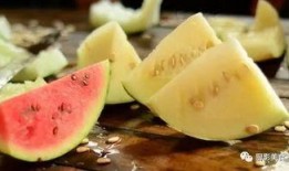 威县吃瓜事件,一场网络热议背后的真相与反思