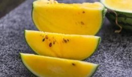 全网吃瓜最新下载,最新下载吃瓜大揭秘！