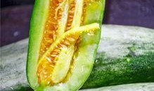 永州网红吃瓜,揭秘网络舆论背后的真相