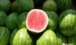 正宗魏县吃瓜,夏日吃瓜，清凉一夏