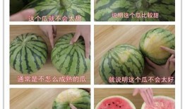 线下吃瓜馆,品味人间烟火，畅谈世间百态