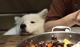 快穿男配种田吃瓜,种田吃瓜，解锁幸福人生