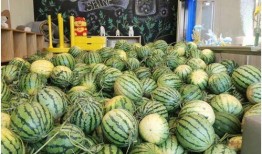 赵麻麻吃瓜全部,揭秘娱乐圈幕后故事