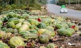 吃瓜被丢瓜,一瓜未了，再丢一瓜