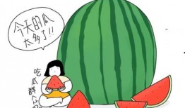 奉节教师 吃瓜事件,网络舆论下的师德拷问