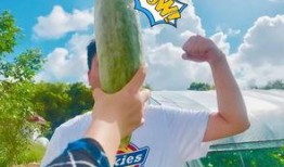 吃瓜群众果蔬,营养与健康的生活伴侣