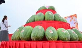 吃瓜菏泽鄄城,吃瓜群众眼中的美食盛宴