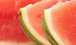 吃瓜文章素材图片,一张图看懂网络热议背后的真相