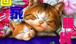 懒猫吃瓜匠,揭秘网络红人的幕后生活