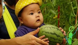 金老师带你吃瓜,尽享味蕾盛宴