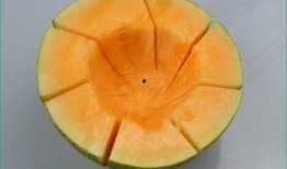 桃和哈密瓜能不能一起吃,探寻两者相容的饮食奥秘