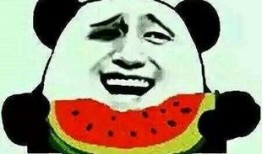 窝是吃瓜群众,揭秘吃瓜群众的趣味生活