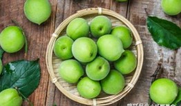 吃瓜人诱青梅,吃瓜人揭秘青梅的魅力