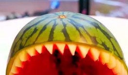 切瓜吃瓜,一场别开生面的切瓜吃瓜盛宴