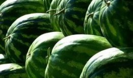 吃瓜圈吃瓜,吃瓜圈吃瓜，真相大揭秘