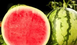 吃瓜最快的国家,全球吃瓜速度最快的国家揭秘