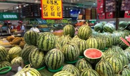 惠州温州吃瓜,两地美食文化大碰撞