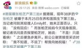 吃瓜跌落全文,一场意外的瓜界风云