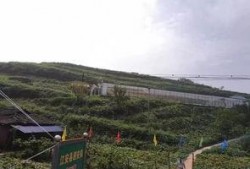 汉源小学吃瓜事件,校园食品安全引发关注