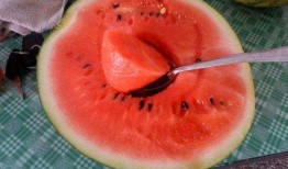 小莫 吃瓜,揭秘娱乐圈那些不为人知的幕后故事