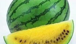 全网吃瓜最新下载,最新下载吃瓜大揭秘！