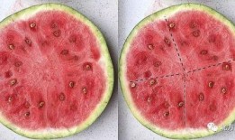 99吃瓜群,揭秘网络社交圈的趣味与争议